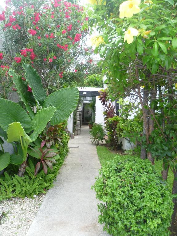 Hostal Haina 칸쿤 외부 사진