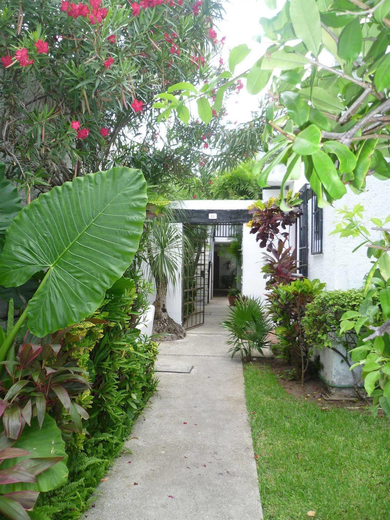 Hostal Haina 칸쿤 외부 사진